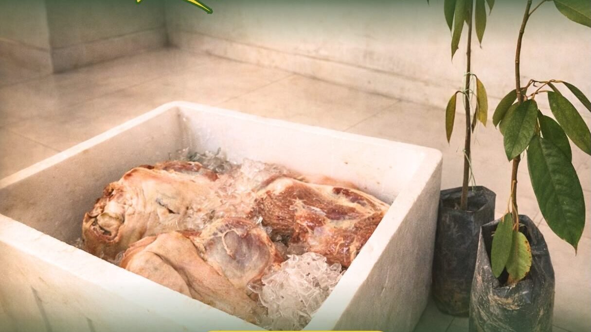 Foto komoditas daging babi dalam wadah styrofoam dan bibit pohon durian yang diamankan oleh petugas Karantina Kalimantan Barat. (Dok. HO/Faktakalbar.id)