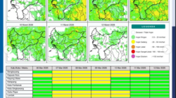 Prakiraan Cuaca Kalimantan Barat Jumat 6 Maret Diwarnai Angin Kencang