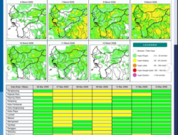 Prakiraan Cuaca Kalimantan Barat Jumat 6 Maret Diwarnai Angin Kencang