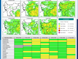 Prakiraan Cuaca Kalimantan Barat: Mayoritas Hujan Ringan, Pontianak dan Singkawang Berawan