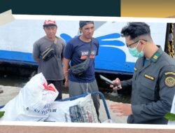 Karantina Kalbar Gagalkan Pengiriman Kulit Sapi Ilegal di Pelabuhan Ketapang