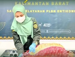 Garda Depan Perbatasan, Karantina Entikong Perketat Pengawasan di PLBN Jelang Lebaran