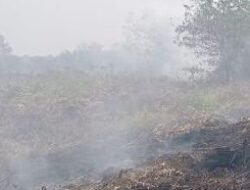 Karhutla di Desa Pasir Mempawah Nyaris Hanguskan Rumah Warga