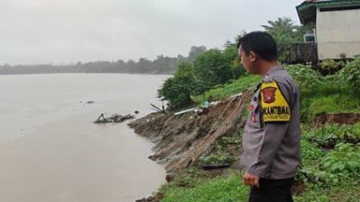 Personel Polsek Belitang Hilir saat meninjau dan mengamankan lokasi bencana tanah longsor yang berdampak pada tiga rumah warga di kawasan tepian Sungai Kapuas, Desa Sepantak.