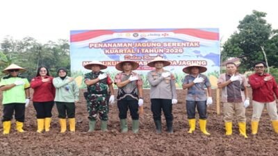Kapolres Sekadau AKBP Andhika Wiratama beserta jajaran dan Forkopimda saat mengikuti kegiatan tanam jagung serentak di lahan demplot Satlantas.