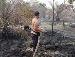 Cek Hotspot Karhutla di Desa Semparong, Polisi Temukan Lahan Gambut Bekas Terbakar