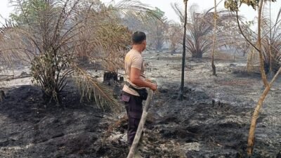 Petugas kepolisian dari Polres Mempawah dan Polsek Mempawah Timur saat berjibaku menyemprotkan air untuk memadamkan api karhutla yang membakar lapisan gambut di bawah badan jalan.