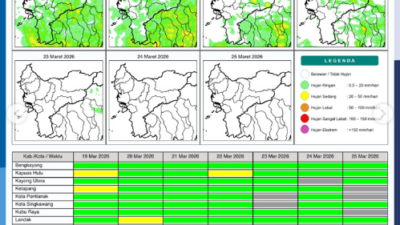 Infografik resmi Badan Meteorologi, Klimatologi, dan Geofisika (BMKG) mengenai potensi hujan harian di wilayah Provinsi Kalimantan Barat