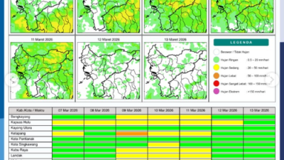 Peta potensi curah hujan harian wilayah Kalimantan Barat periode 7 hingga 13 Maret 2026 yang diterbitkan oleh BMKG.