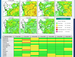 Prakiraan Cuaca Kalimantan Barat 31 Maret 2026: BMKG Peringatkan Hujan Petir dan Potensi Karhutla
