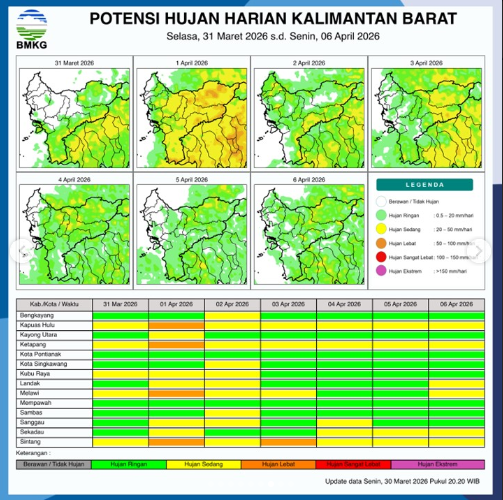 Infografis BMKG mengenai peta potensi hujan harian untuk tingkat kabupaten dan kota di wilayah Provinsi Kalimantan Barat pada hari Selasa, (31/3/2026). (Dok. BMKG Kalbar)