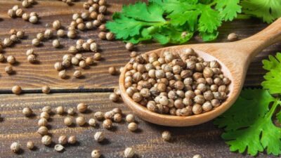 "Bukan sekadar bumbu dapur, ketumbar ternyata kaya akan antioksidan. Simak manfaat ketumbar mulai dari kontrol gula darah hingga menjaga kesehatan jantung."