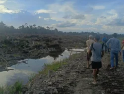 Telan APBN Rp6,6 Miliar, Proyek Cetak Sawah di Kapuas Hulu Terancam Gagal Tanpa Irigasi