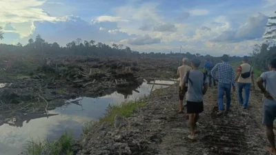 "Proyek strategis nasional Cetak Sawah Rakyat (CSR) di Desa Sukamaju, Kapuas Hulu senilai Rp6,6 miliar dinilai gagal karena ketiadaan irigasi dan lahan yang belum bersih."