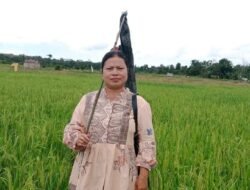 Penjaga Pangan dari Sadaniang: Kisah Teresiayati dan Perjuangan Petani Perempuan Desa Sekabuk