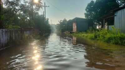 Kondisi banjir yang merendam beberapa wilayah di Kabupaten Mojokerto, Jawa Provinsi Jawa Timur, pada Minggu (15/3). Banjir tersebut juga membuat 175 KK atau 300 jiwa terdampak. (Dok. HO/Faktakalbar.id)