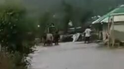 "Update situasi bencana di Indonesia per 21 Maret 2026: Banjir melanda Bima dan Magetan, sementara angin kencang terjang Pasuruan. Simak imbauan cuaca Idulfitri dari BNPB."