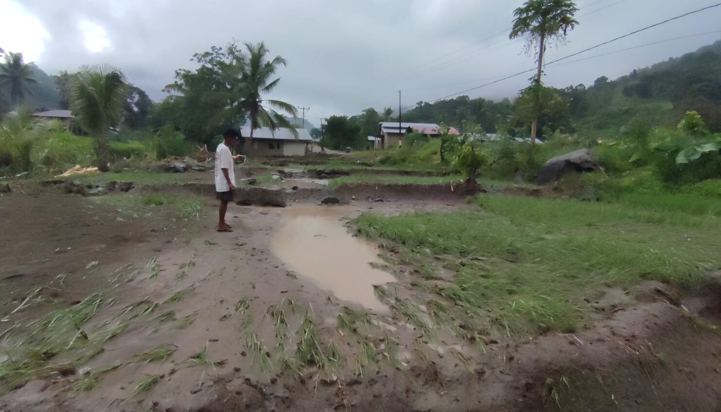 "Laporan terbaru BNPB 23 Maret 2026: Banjir rendam Pasuruan dan Sikka. Ribuan rumah terdampak serta akses jalan antar-desa di NTT terputus total."