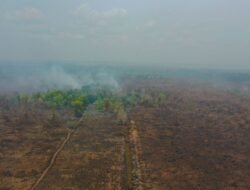 BREAKING NEWS! WALHI: Awal 2026 Lebih dari 5.000 Titik Api Muncul di Gambut Meski Masih Musim Hujan