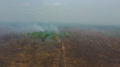 "WALHI mencatat kemunculan lebih dari 5.000 titik panas di ekosistem gambut Sumatera dan Kalimantan pada awal 2026, meskipun masih memasuki musim penghujan."