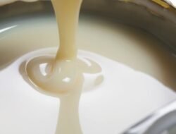 Bukan Susu Harian, Ahli Ingatkan Bahaya Kasih Susu Kental Manis Setiap Hari ke Anak