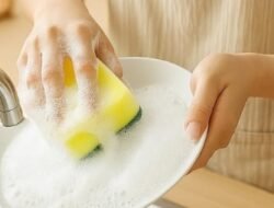 Sering Dianggap Sepele, Studi Ungkap Spons Cuci Piring Jadi Sumber Mikroplastik Masuk Tubuh