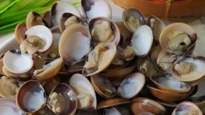 "Sedang di Sukadana? Jangan lewatkan 4 kuliner khas Kayong Utara mulai dari lezatnya ale-ale hingga renyahnya amplang ikan yang menggugah selera."