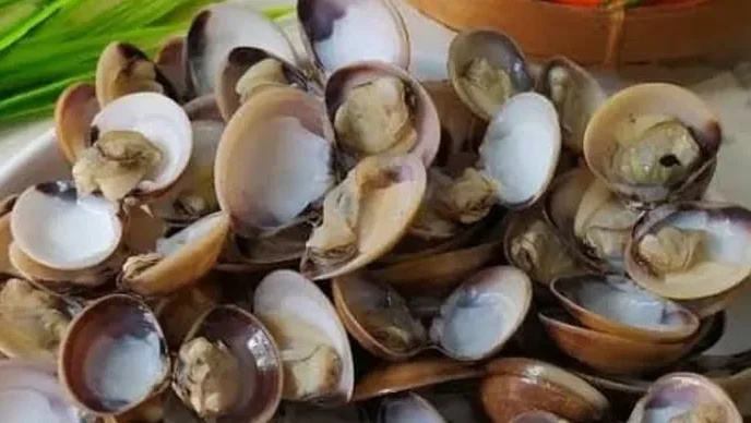 "Sedang di Sukadana? Jangan lewatkan 4 kuliner khas Kayong Utara mulai dari lezatnya ale-ale hingga renyahnya amplang ikan yang menggugah selera."