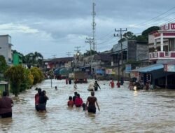 Waspada! 5 Ancaman Bencana Alam di Kalimantan Barat yang Wajib Anda Ketahui
