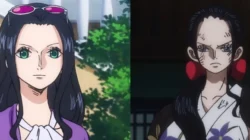 "Kenali lebih dekat Nico Robin, arkeolog jenius di One Piece. Simak 5 fakta menarik mulai dari tragedi Ohara hingga kekuatan buah iblis Hana Hana no Mi."