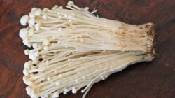 "Sering menyantap jamur enoki di hidangan berkuah? Ketahui dulu 5 fakta mengenai jamur enoki, mulai dari nutrisi peningkat imun hingga bahaya jika dimakan mentah."