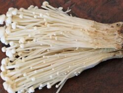 Kerap Jadi Andalan Masakan Berkuah, Ini 5 Fakta Mengenai Jamur Enoki yang Wajib Diketahui