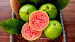 "Jambu biji bukan sekadar buah tropis yang menyegarkan. Simak 5 khasiat menakjubkan dari jambu biji bagi kesehatan, mulai dari menjaga imunitas hingga merawat kulit. "