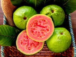 Jangan Remehkan, Ini 5 Khasiat Jambu Biji yang Bikin Tubuh Makin Sehat