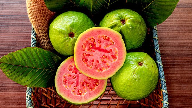 "Jambu biji bukan sekadar buah tropis yang menyegarkan. Simak 5 khasiat menakjubkan dari jambu biji bagi kesehatan, mulai dari menjaga imunitas hingga merawat kulit. "