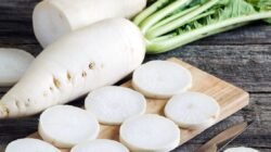 "Sering diabaikan, sayuran ini ternyata menyimpan segudang khasiat. Simak 5 manfaat lobak putih bagi kesehatan tubuh, mulai dari pencernaan hingga diet sehat. Sering diabaikan, sayuran ini ternyata menyimpan segudang khasiat. Simak 5 manfaat lobak putih bagi kesehatan tubuh, mulai dari pencernaan hingga diet sehat."