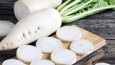 "Sering diabaikan, sayuran ini ternyata menyimpan segudang khasiat. Simak 5 manfaat lobak putih bagi kesehatan tubuh, mulai dari pencernaan hingga diet sehat. Sering diabaikan, sayuran ini ternyata menyimpan segudang khasiat. Simak 5 manfaat lobak putih bagi kesehatan tubuh, mulai dari pencernaan hingga diet sehat."