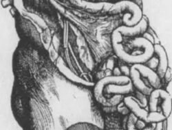 Waspada Masalah Pencernaan, Ini 5 Tanda Usus Kamu Kotor Akibat Penumpukan Sisa Makanan