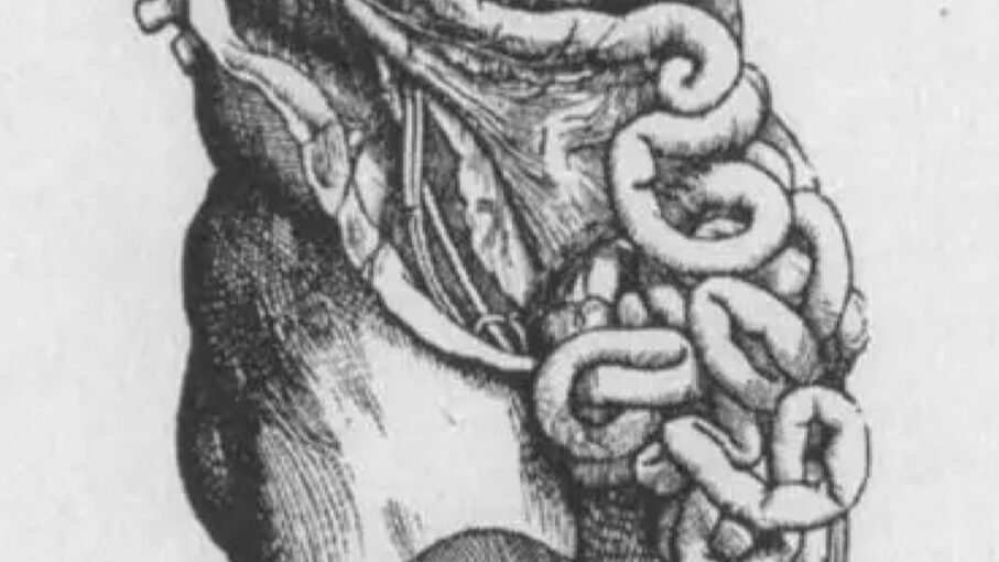 "Usus yang tidak sehat berdampak pada seluruh organ tubuh. Ketahui 5 tanda usus kamu kotor, mulai dari sembelit hingga masalah bau mulut dan jerawat."