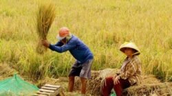 "Menjadi mandiri pangan di tingkat rumah tangga tidak hanya mampu menekan pengeluaran belanja, tetapi juga memberikan manfaat luar biasa bagi kesehatan dan lingkungan."