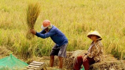 "Menjadi mandiri pangan di tingkat rumah tangga tidak hanya mampu menekan pengeluaran belanja, tetapi juga memberikan manfaat luar biasa bagi kesehatan dan lingkungan."