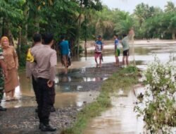 Ribuan Warga Terdampak, Banjir di Kabupaten Seluma Rendam Rumah, Sawah, hingga Kolam Ikan