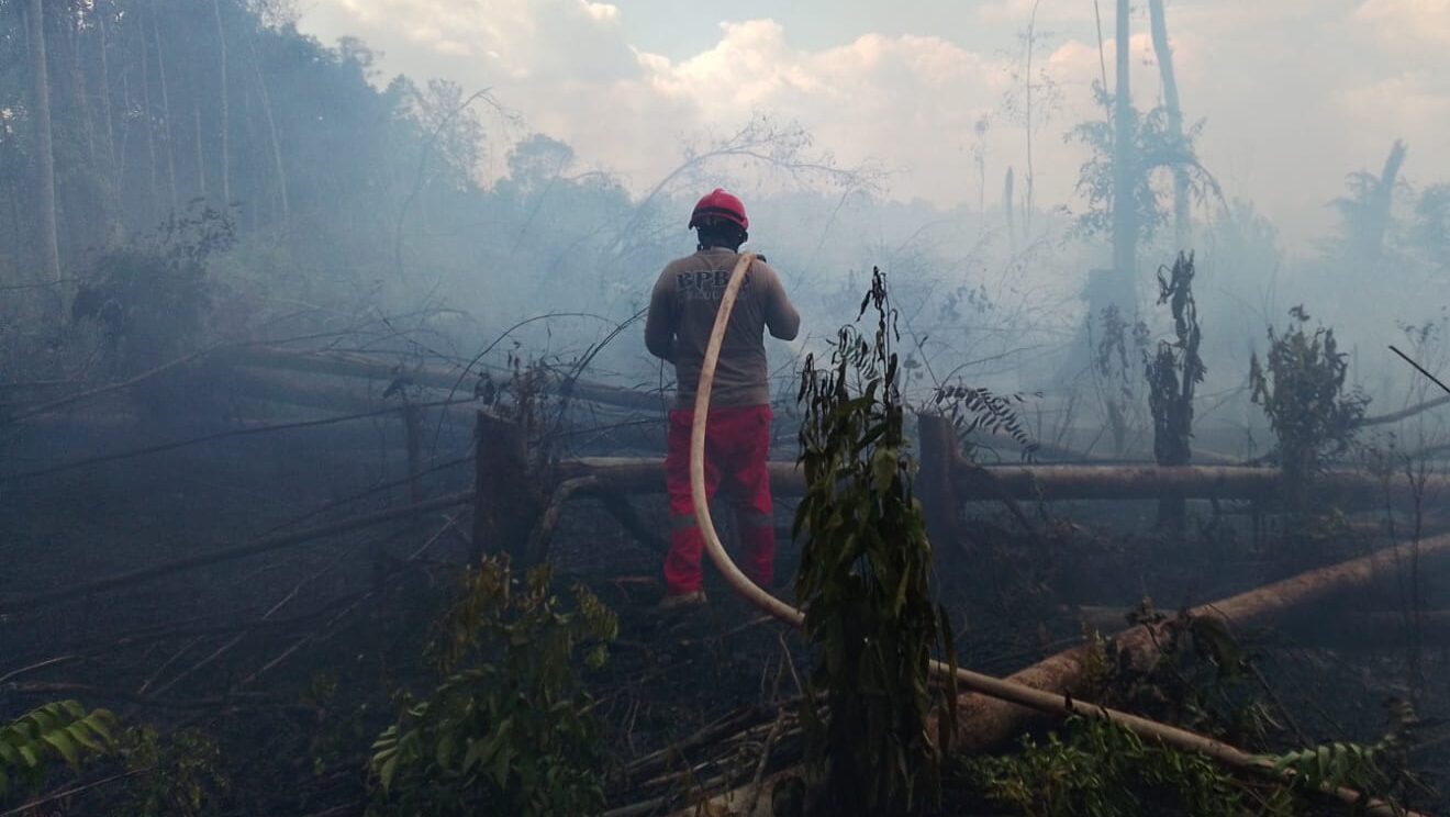 peringatkan potensi bahaya karhutla di wilayah Sumatra Utara, Papua, dan Papua Selatan. Pemerintah dorong langkah pencegahan dini dan patroli gabungan. (