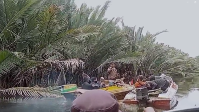 Hamparan kawasan hutan mangrove di Desa Kubu, Kabupaten Kubu Raya, Kalimantan Barat, yang diduga diperjualbelikan seluas 400 hektare dan kini tengah diusut oleh Subdit 3 Ditreskrimsus Polda Kalbar terkait dugaan tindak pidana korupsi.