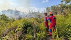 Petugas gabungan dari BPBD dan unsur relawan masyarakat peduli api saat berupaya memadamkan titik api di kawasan lahan gambut dan ilalang yang mengering.