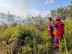 BNPB Sebut Karhutla Mendominasi Bencana Akhir Pekan, Puluhan Hektare Lahan di Kalimantan Terbakar