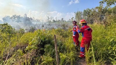 Petugas gabungan dari BPBD dan unsur relawan masyarakat peduli api saat berupaya memadamkan titik api di kawasan lahan gambut dan ilalang yang mengering.