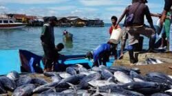 Potensi sektor kemaritiman nasional yang harus dikelola secara optimal melalui pendekatan ekonomi terpadu untuk mendongkrak pertumbuhan bangsa.