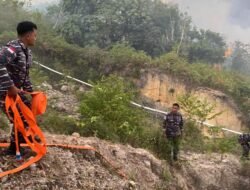 Tiga Hektare Lahan Hangus, Tim Gabungan Padamkan Kebakaran Hutan dan Lahan di Nunukan
