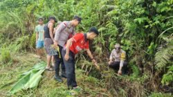 Kondisi parit di pinggir Jalan Lintas Malenggang yang menjadi lokasi penemuan sesosok jasad pria paruh baya akibat kecelakaan tunggal.
